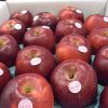 高価な大玉リンゴ「おいらせ」