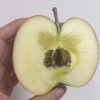 なかなか食べれない美味しい蜜入りリンゴ【北斗】